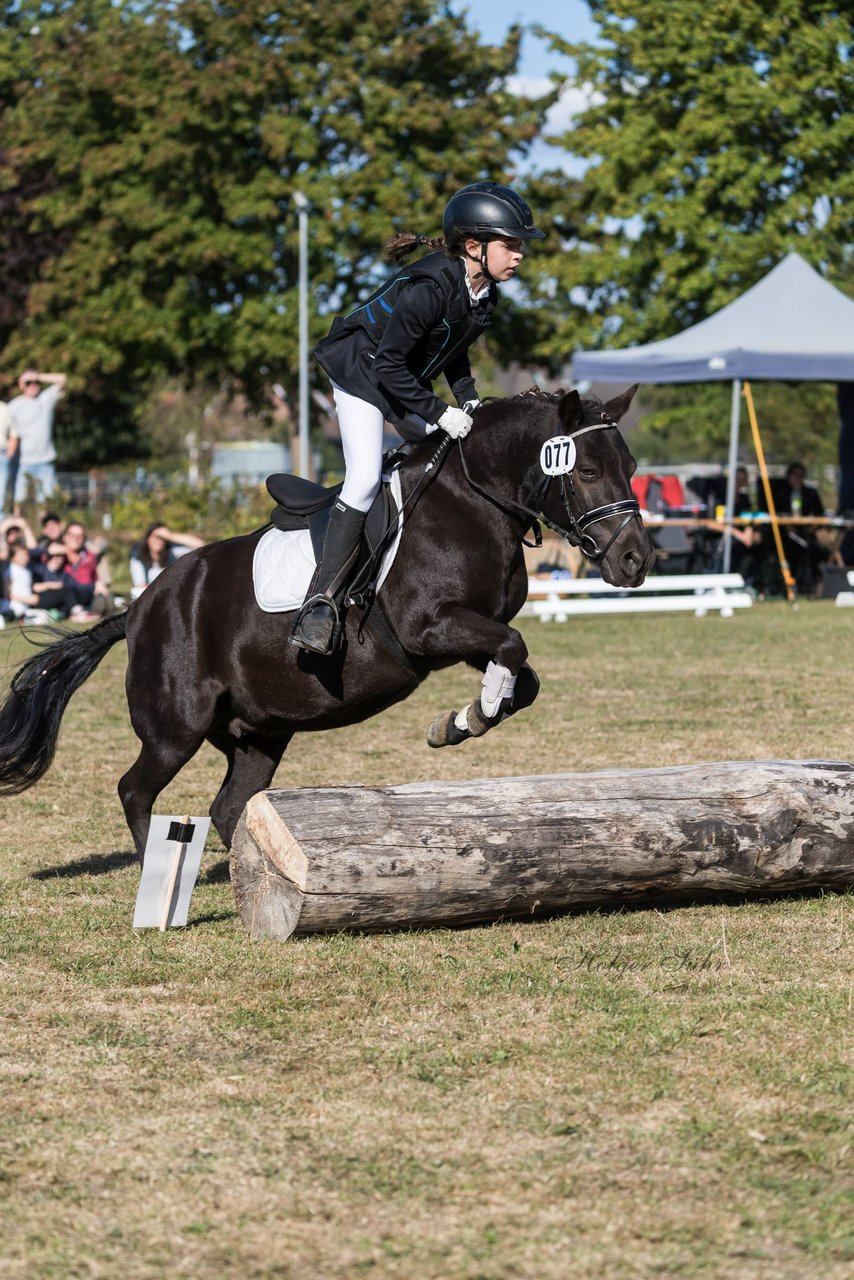 Bild 250 - Pony Akademie Turnier